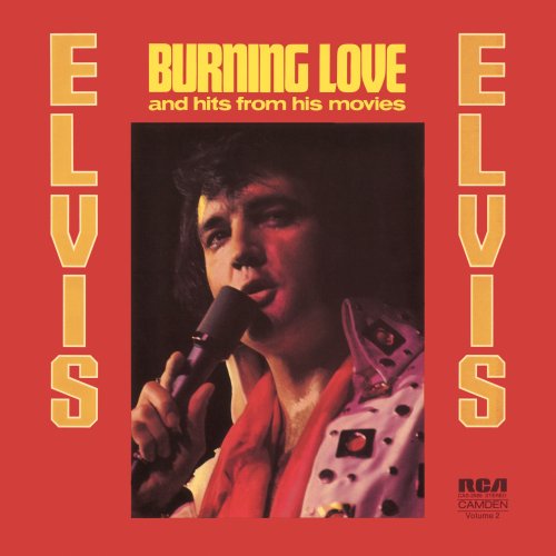 Burning Love cover image