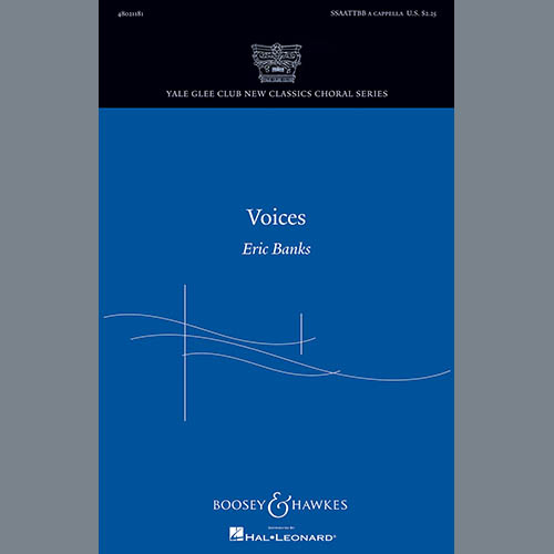 Voices cover image