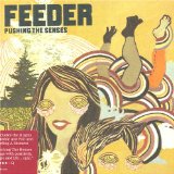 Download or print Feeder Pushing The Senses Sheet Music Printable PDF 12-page score for Rock / arranged Guitar Tab SKU: 31899