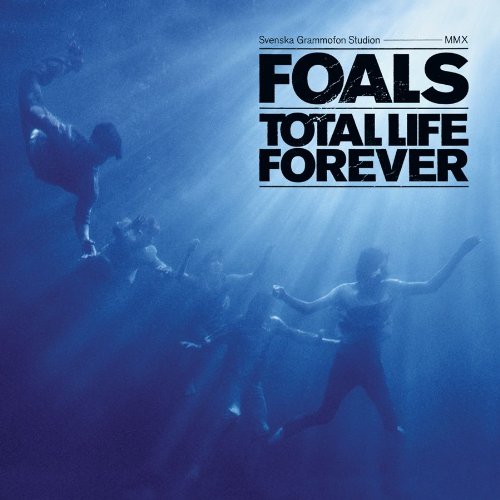 Foals This Orient Profile Image