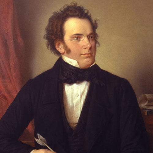 Franz Schubert Andantino Profile Image