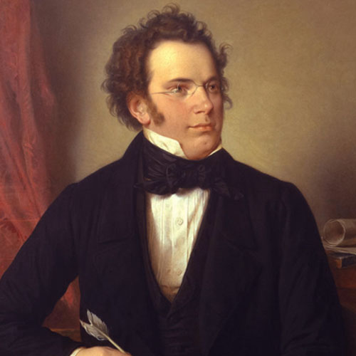 Easily Download Franz Schubert Printable PDF piano music notes, guitar tabs for 5-Finger Piano. Transpose or transcribe this score in no time - Learn how to play song progression.