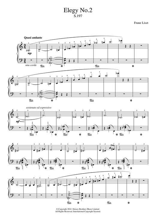 Franz Liszt Elegy No.2 sheet music notes and chords. Download Printable PDF.