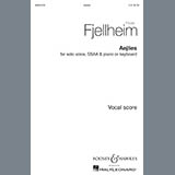 Download or print Frode Fjellheim Aejlies Sheet Music Printable PDF 12-page score for Concert / arranged SSA Choir SKU: 190849
