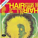 Download or print Galt MacDermot Good Morning Starshine (from 'Hair') Sheet Music Printable PDF 4-page score for Musical/Show / arranged Piano, Vocal & Guitar Chords SKU: 120891