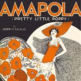 Download or print Gary Meisner Amapola (Pretty Little Poppy) Sheet Music Printable PDF 3-page score for Standards / arranged Accordion SKU: 158005