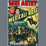 Download or print Gene Autry Mexicali Rose Sheet Music Printable PDF 2-page score for Jazz / arranged Piano, Vocal & Guitar Chords (Right-Hand Melody) SKU: 30857