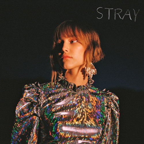 Stray cover image