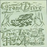 Download or print Grand Drive A Ladder To The Stars Sheet Music Printable PDF 3-page score for Country / arranged Guitar Chords/Lyrics SKU: 104606