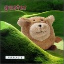 Guster Parachute Profile Image