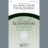 Download or print Harold Rosenbaum Lo, How A Rose E'er Blooming Sheet Music Printable PDF 11-page score for Traditional / arranged SATB Choir SKU: 97824