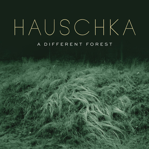 Hauschka Collecting Stones Profile Image