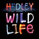 Download or print Hedley Pocket Full Of Dreams Sheet Music Printable PDF 6-page score for Pop / arranged Piano, Vocal & Guitar Chords (Right-Hand Melody) SKU: 161150