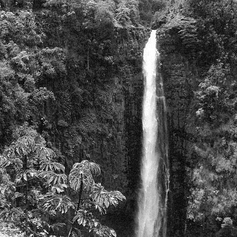 Helen Parker Akaka Falls Profile Image