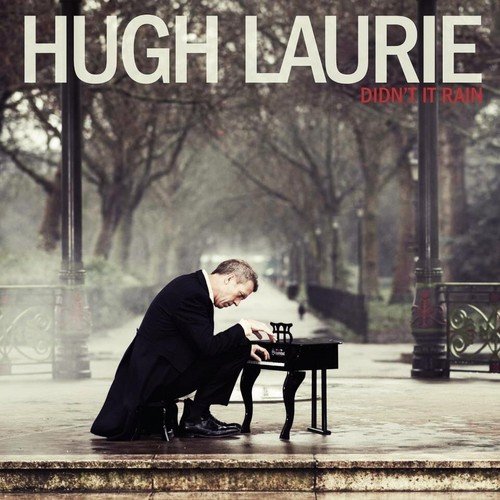 Hugh Laurie Didn't It Rain Profile Image