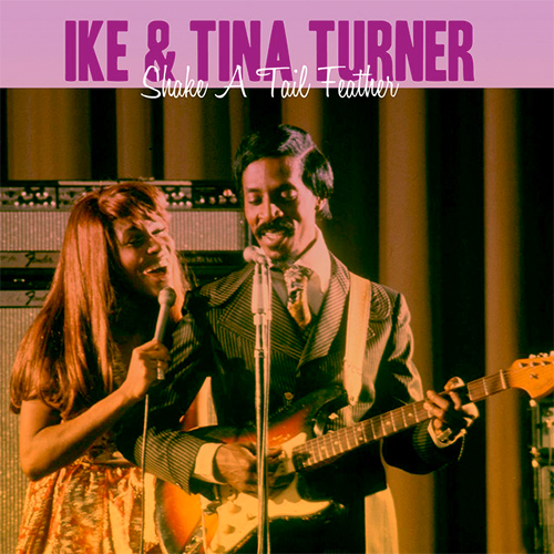 Ike & Tina Turner Shake A Tail Feather Profile Image