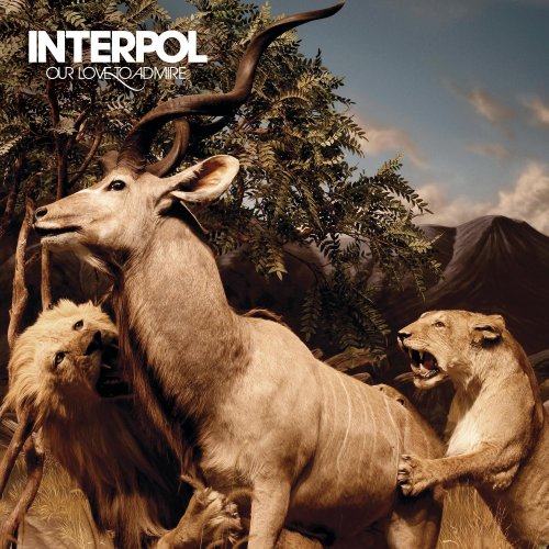 Interpol Pioneer To The Falls Profile Image