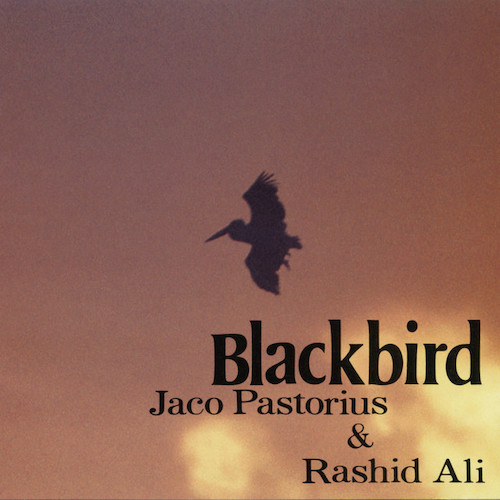 Jaco Pastorius & Rashid Ali Slang Profile Image
