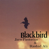Download or print Jaco Pastorius & Rashid Ali Slang Sheet Music Printable PDF 6-page score for Jazz / arranged Bass Guitar Tab SKU: 1516808