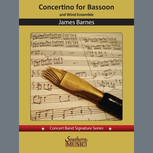 Concertino for Bassoon (Solo / Piano Reduction) cover image