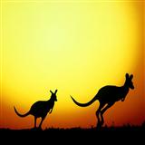 Download or print Janice Webb I'm Hoppity Hop The Kangaroo Sheet Music Printable PDF 2-page score for Children / arranged Lead Sheet / Fake Book SKU: 39570