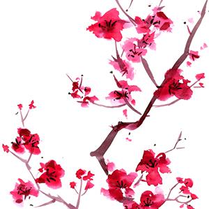 Japanese Folksong Sakura (Cherry Blossoms) Profile Image