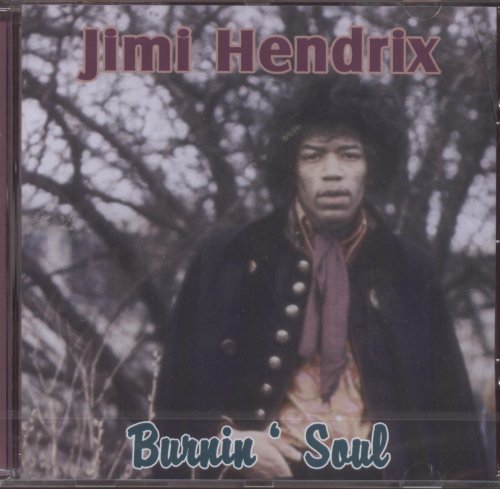 Jimi Hendrix Long Hot Summer Night Profile Image