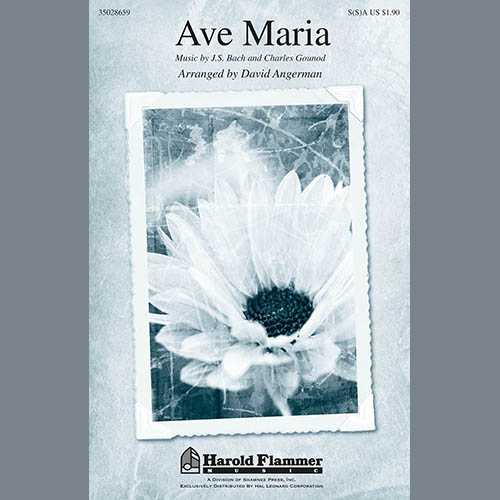 Ave Maria (arr. David Angerman) cover image