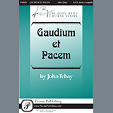 Download or print John Tebay Gaudium Et Pacem Sheet Music Printable PDF 19-page score for Sacred / arranged SATB Choir SKU: 469777