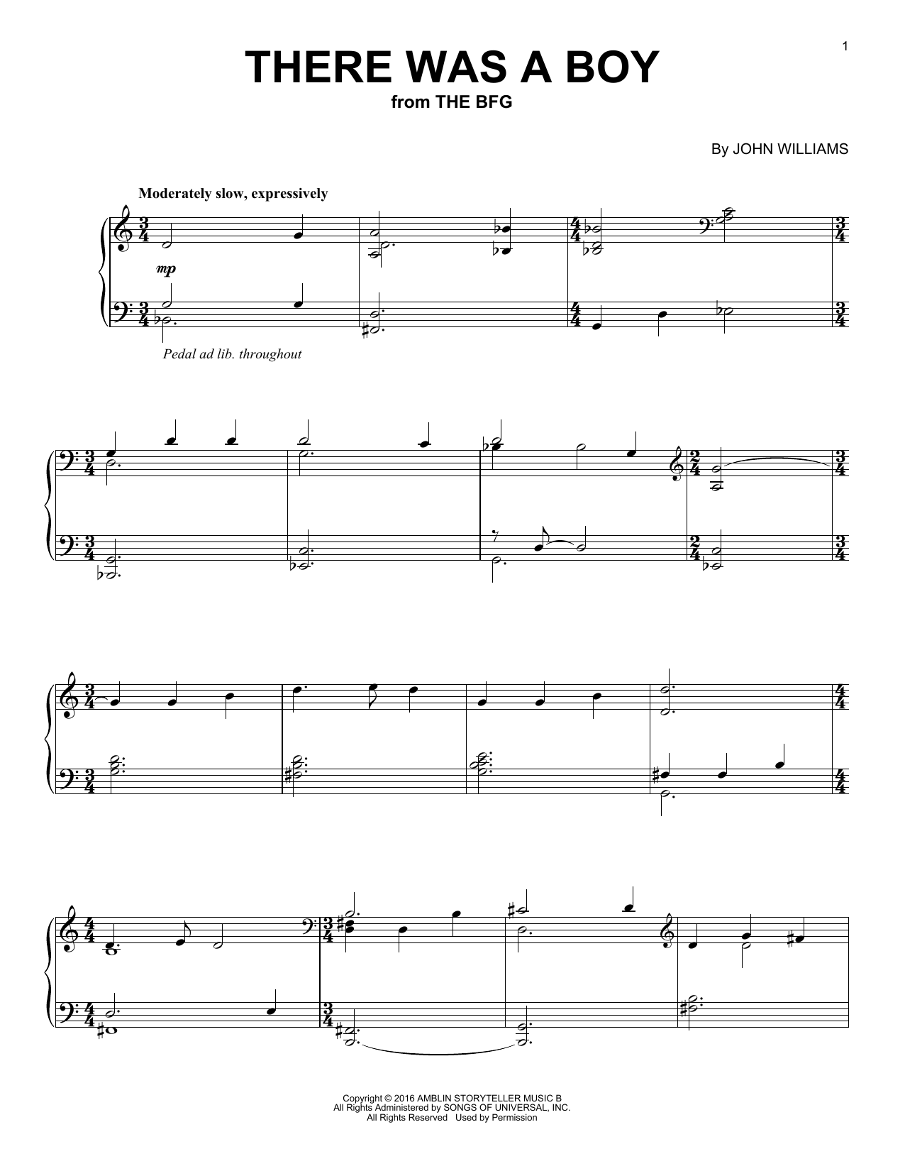 Learn to play John Williams There Was A Boy sheet music for Piano Solo in minutes. John Williams There Was A Boy sheet music notes and chords. Download Printable PDF.