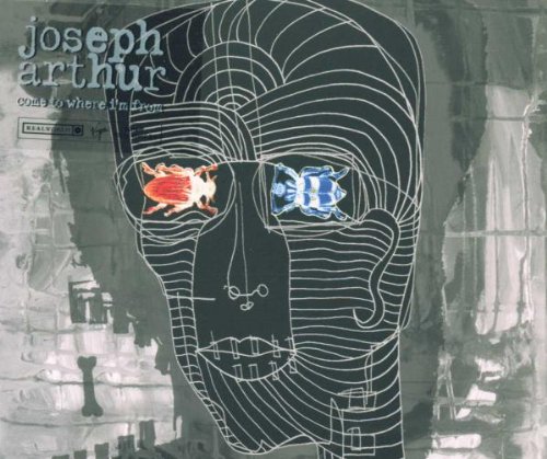 Joseph Arthur In The Sun Profile Image
