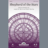 Download or print Joseph M. Martin Shepherd Of The Stars - Bass Clarinet in Bb Sheet Music Printable PDF 1-page score for Concert / arranged Choir Instrumental Pak SKU: 305895