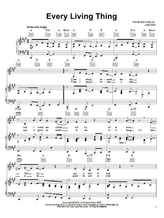 Julie Gold Every Living Thing sheet music notes and chords. Download Printable PDF.