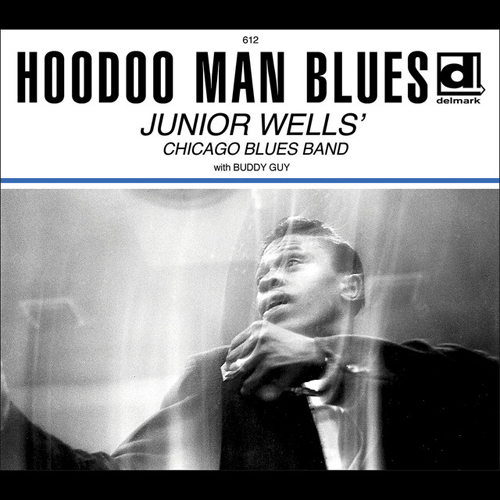 Junior Wells Hoodoo Man Blues Profile Image