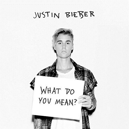 What Do You Mean? cover image