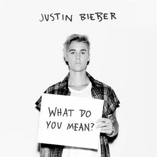 Justin Bieber What Do You Mean? Profile Image
