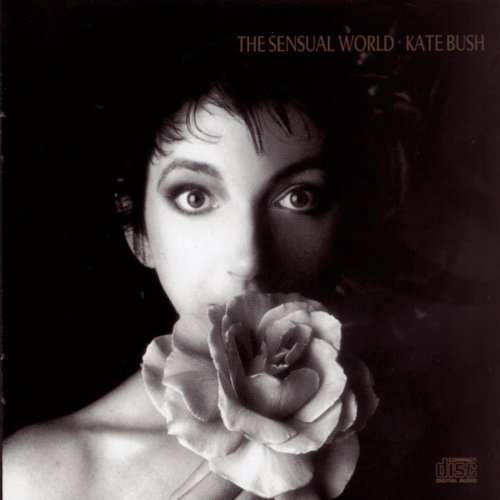 Kate Bush This Woman's Work (from She's Having A Baby) Profile Image