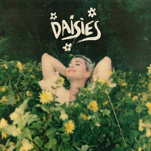 Daisies cover image