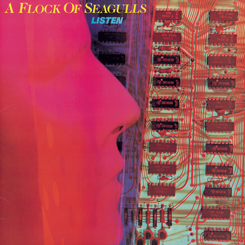 A Flock Of Seagulls Download Printable PDF Score Easily Download A Flock Of Seagulls Printable PDF piano music notes, guitar tabs for Piano Chords/Lyrics. Transpose or transcribe this score in no time - Learn how to play song progression.