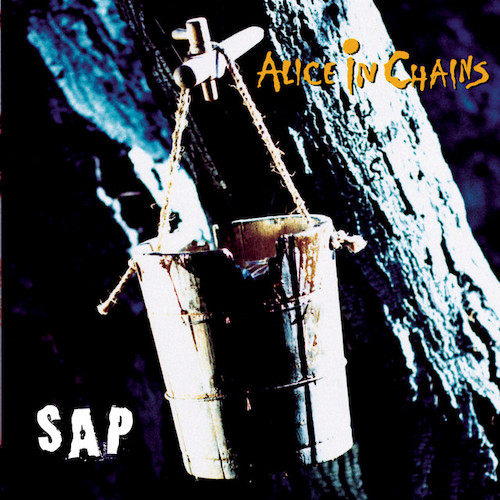 Alice In Chains Download Printable PDF Score Easily Download Alice In Chains Printable PDF piano music notes, guitar tabs for Guitar Tab. Transpose or transcribe this score in no time - Learn how to play song progression.