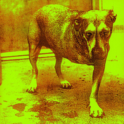 Alice In Chains Download Printable PDF Score Easily Download Alice In Chains Printable PDF piano music notes, guitar tabs for Guitar Tab. Transpose or transcribe this score in no time - Learn how to play song progression.
