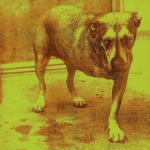 Easily Download Alice In Chains Printable PDF piano music notes, guitar tabs for Guitar Tab. Transpose or transcribe this score in no time - Learn how to play song progression.