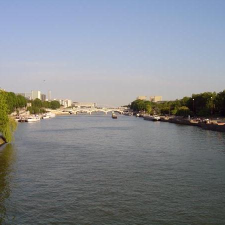 The River Seine (La Seine) cover image