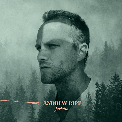 Easily Download Andrew Ripp Printable PDF piano music notes, guitar tabs for Piano, Vocal & Guitar Chords (Right-Hand Melody). Transpose or transcribe this score in no time - Learn how to play song progression.