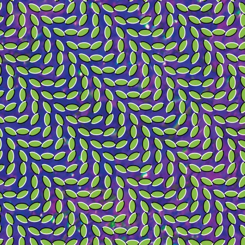 Animal Collective Download Printable PDF Score Easily Download Animal Collective Printable PDF piano music notes, guitar tabs for Guitar Chords/Lyrics. Transpose or transcribe this score in no time - Learn how to play song progression.