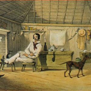 Australian Folksong The Wild Colonial Boy Profile Image