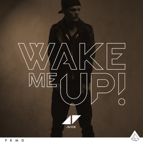 Wake Me Up cover image