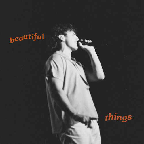 Beautiful Things cover image