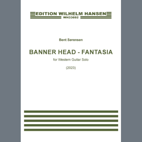 Banner Head - Fantasia cover image