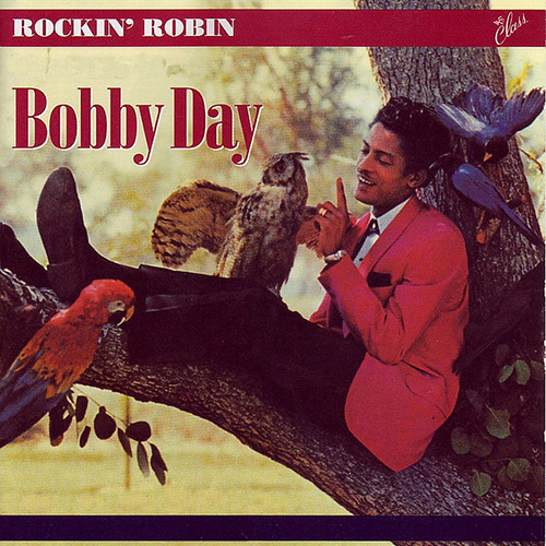 Rockin' Robin cover image